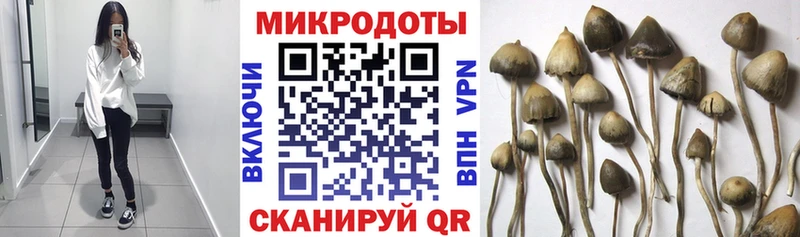 это как зайти  где купить наркоту  Асбест  Галлюциногенные грибы Psilocybine cubensis 