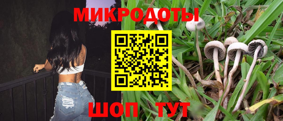 Галлюциногенные грибы Psilocybe Асбест