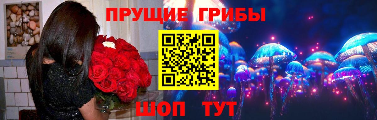 Псилоцибиновые грибы Psilocybe  Вход с VPN  Асбест 